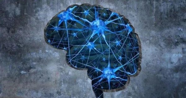 鼎冠配资 5年生存率不足10%！打破脑癌“魔咒”，创新疗法“组合拳”有望带来新曙光