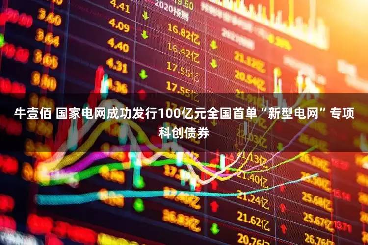 牛壹佰 国家电网成功发行100亿元全国首单“新型电网”专项科创债券